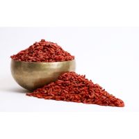 Goji (Lyciet) | Fruit