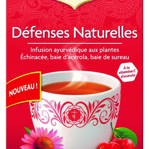 YOGI TEA Défenses Naturelles 17 Infusettes