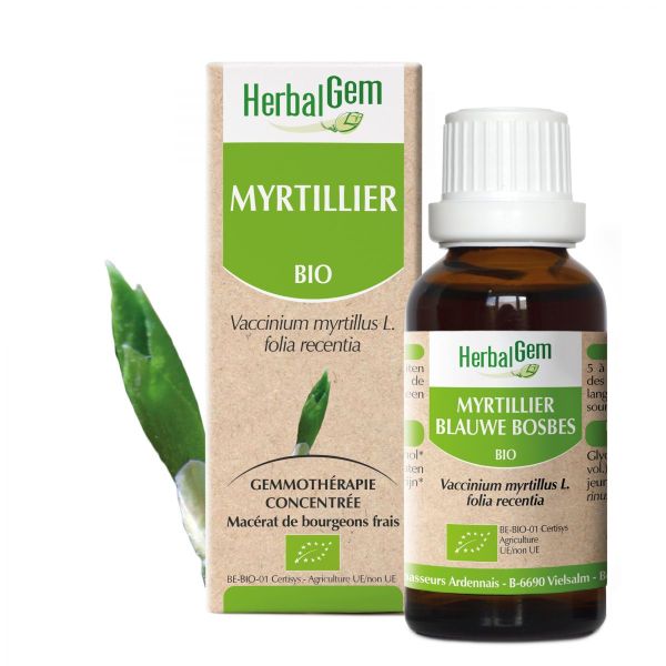 Myrtillier Macérât 30ML BIO | Herbalgem