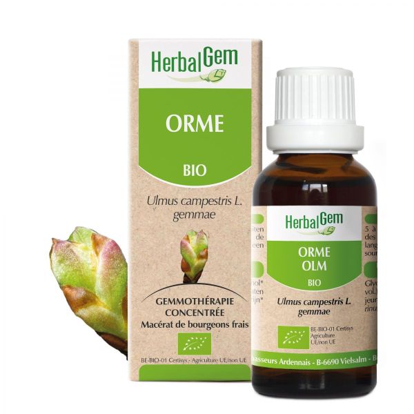 Orme Macérât BIO 30ml | Herbalgem