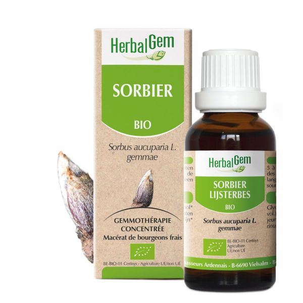 Sorbier 30ML | Herbalgem