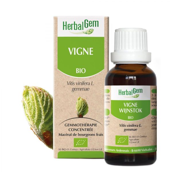 Vigne 30ml | Herbalgem