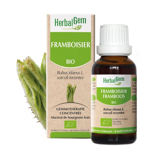 Framboisier 30ml BIO | Herbalgem